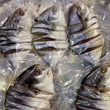 咸魚-咸魚批發、促銷價格、產地貨源 