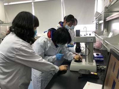 打造內(nèi)陸開(kāi)放新高地 四川在‘一帶一路’中的高質(zhì)量發(fā)展與科研創(chuàng)新
